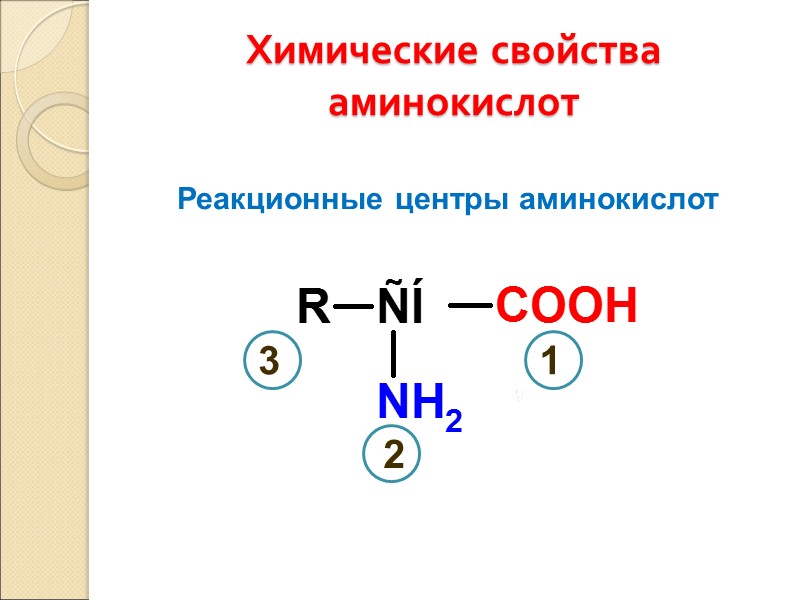 Химические свойства аминокислот Реакционные центры аминокислот 1 2 3